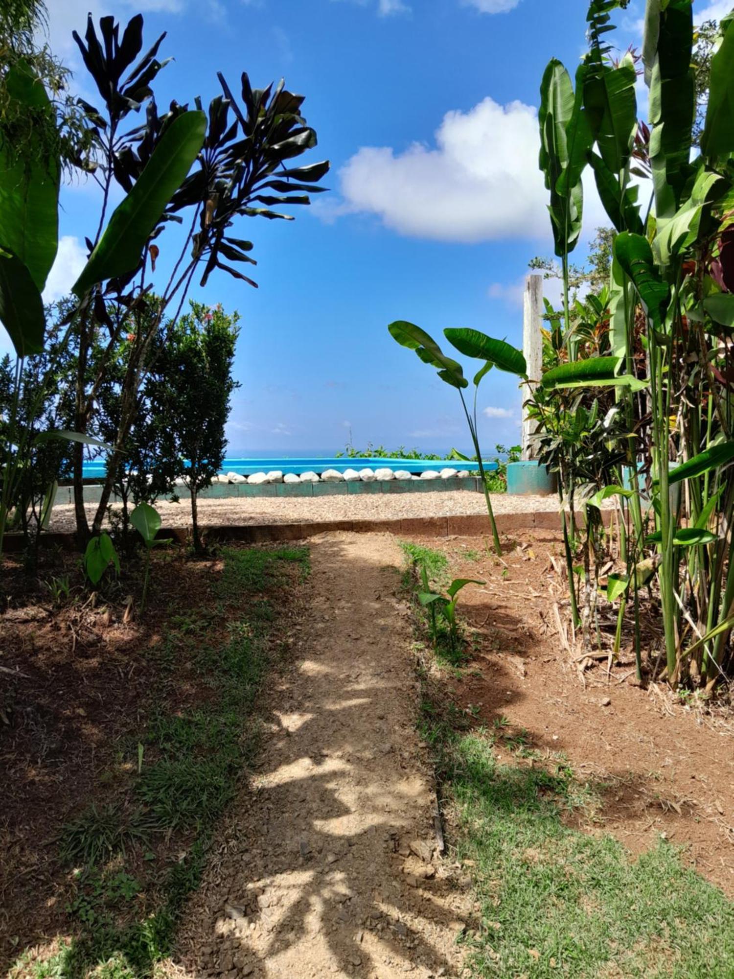 Finca La Puesta Del Sol - Miramar De Sierpe 客房 照片