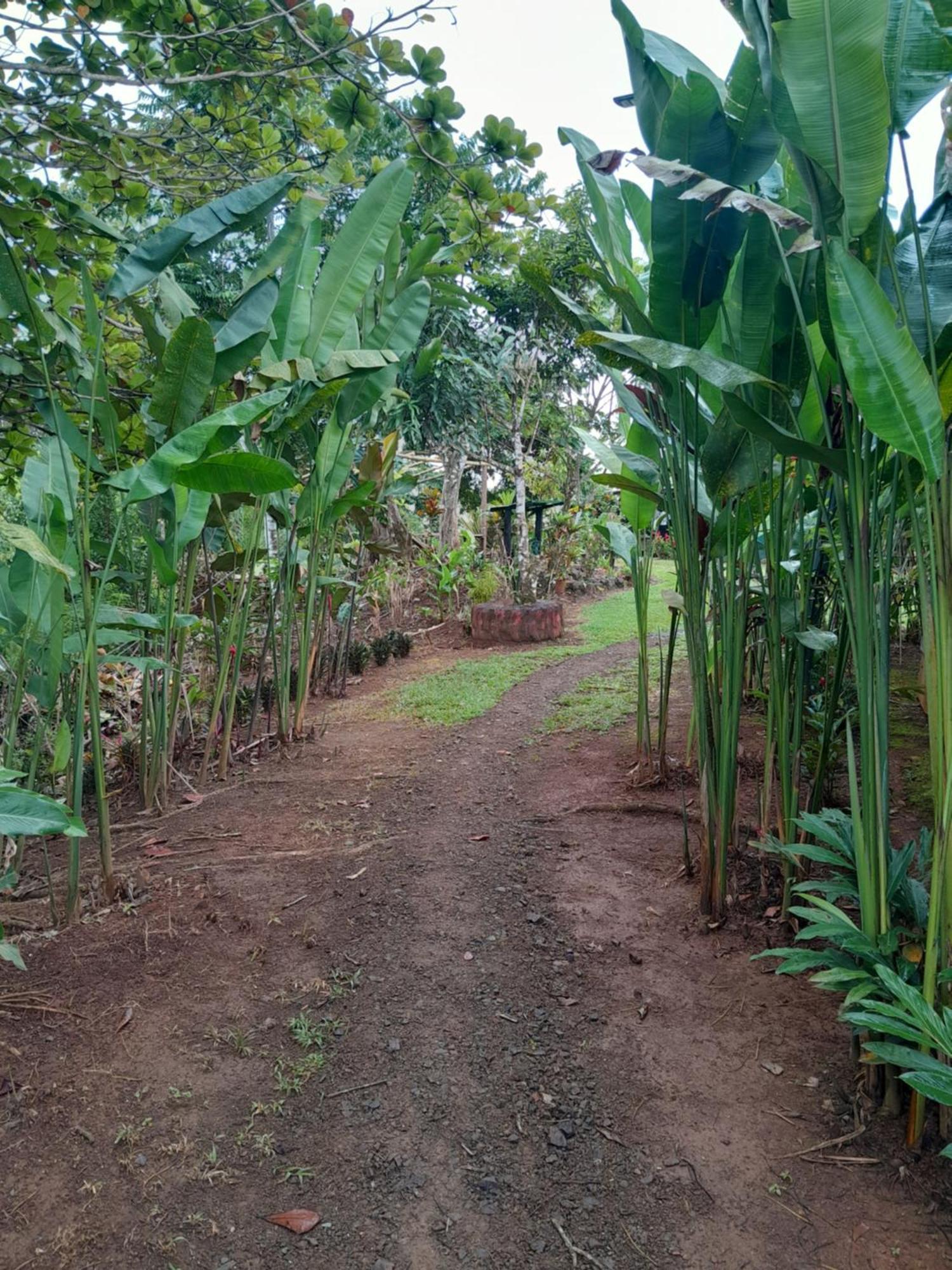 Finca La Puesta Del Sol - Miramar De Sierpe 客房 照片
