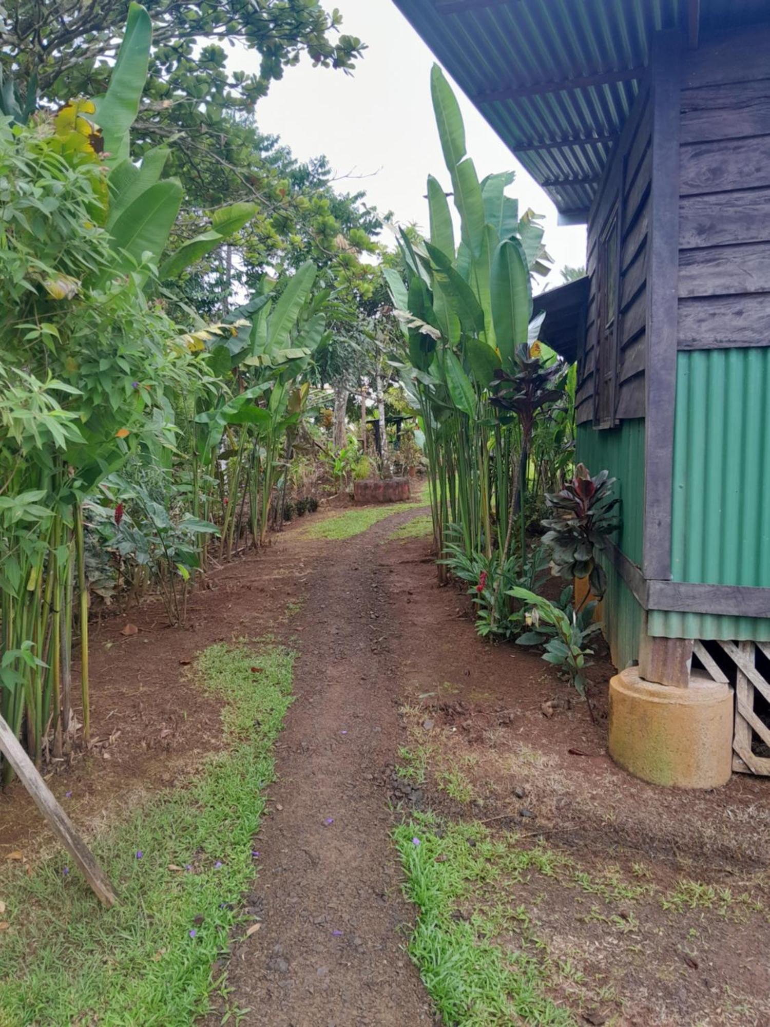 Finca La Puesta Del Sol - Miramar De Sierpe 客房 照片