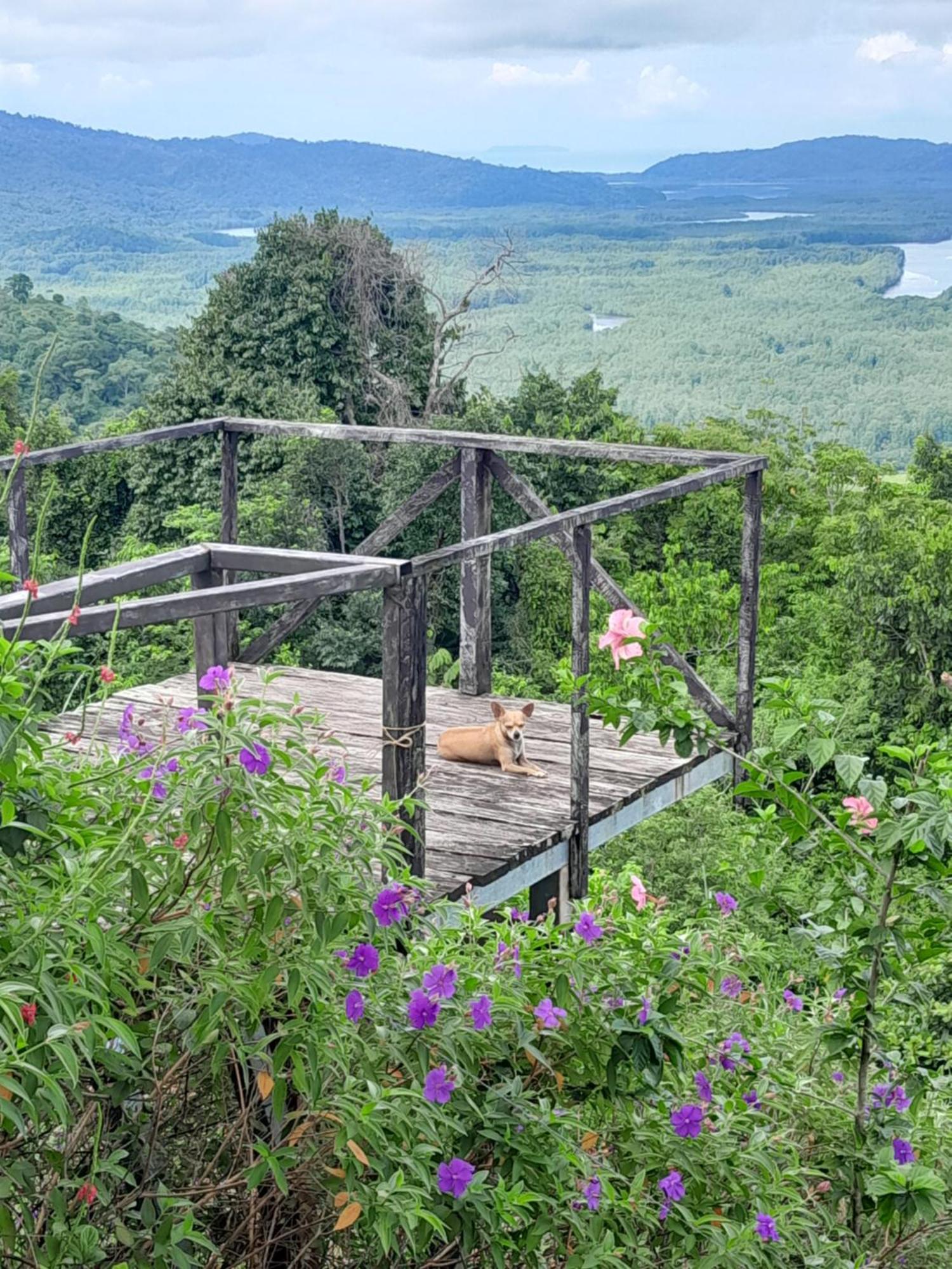 Finca La Puesta Del Sol - Miramar De Sierpe 客房 照片