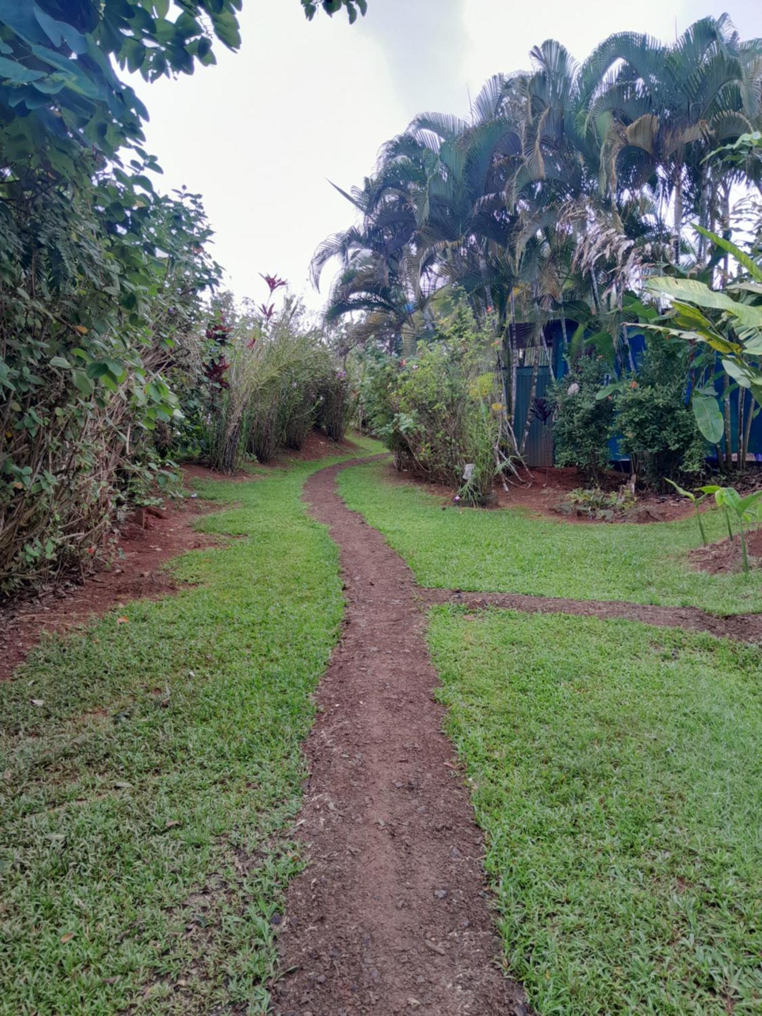 Finca La Puesta Del Sol - Miramar De Sierpe 客房 照片